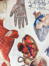 Load image into Gallery viewer, Human Anatomy Canvas Tote Shoulder Bag
