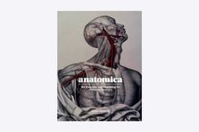 Load image into Gallery viewer, Anatomica