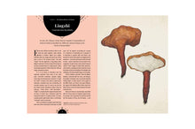 Load image into Gallery viewer, The Magic of Mushrooms
