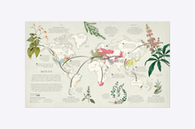Load image into Gallery viewer, Atlas of Botany : An Exploration of Plants Across Time and Around the World