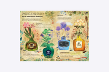 Load image into Gallery viewer, The Big Book of Blooms