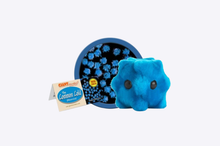 Load image into Gallery viewer, Common Cold