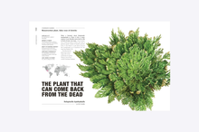 Load image into Gallery viewer, Hortus Curious