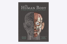 Load image into Gallery viewer, The Human Body : A Pop-Up Guide to Anatomy