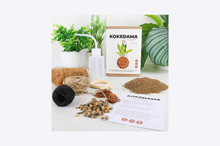 Load image into Gallery viewer, The Art of Kokedama DIY Kit