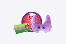 Load image into Gallery viewer, Thyroid