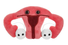Load image into Gallery viewer, Uterus