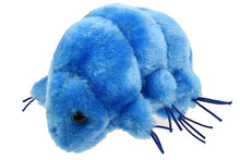 Load image into Gallery viewer, Waterbear (tardigrade)