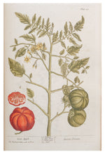 Load image into Gallery viewer, Thackray Botanical Postcard
