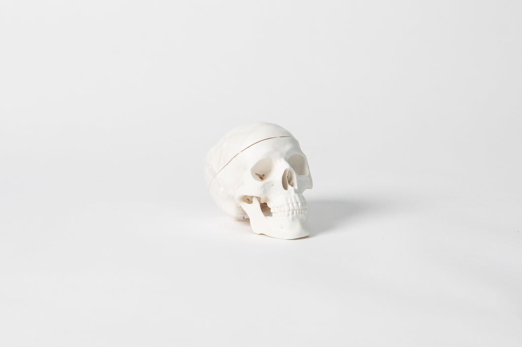 Small Skull Desk Ornament