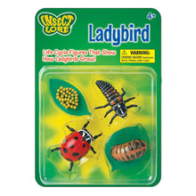 Load image into Gallery viewer, Life Cycle Figurines
