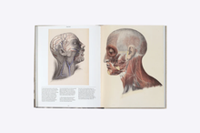 Load image into Gallery viewer, Anatomica
