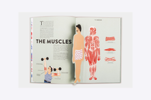 Load image into Gallery viewer, Anatomy
