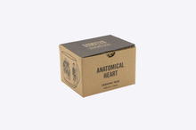 Load image into Gallery viewer, Heart Anatomy Mug
