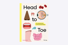 Load image into Gallery viewer, Head to Toe : An Introduction to the Human Body
