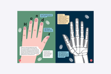 Load image into Gallery viewer, Head to Toe : An Introduction to the Human Body
