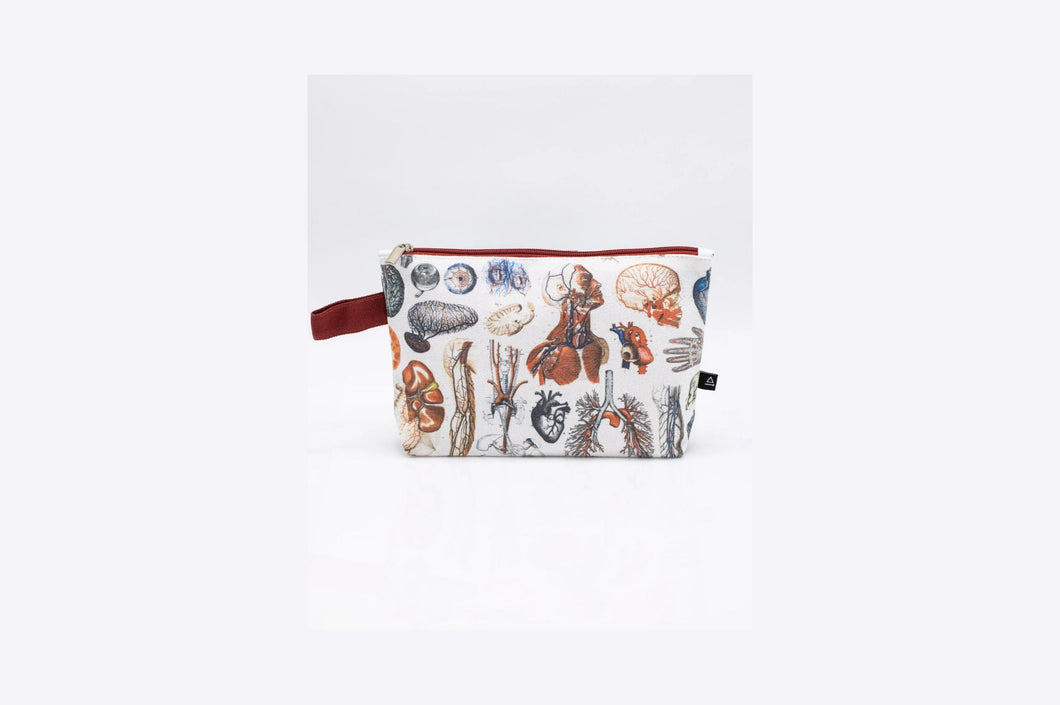 Anatomy Pouch
