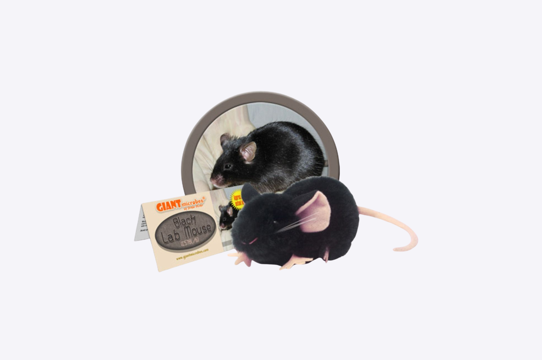 Black Lab Mouse