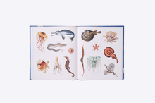 Load image into Gallery viewer, The Sticker Treasury of the Mystical and Esoteric
