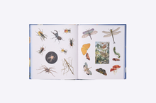 Load image into Gallery viewer, The Sticker Treasury of the Mystical and Esoteric
