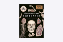 Load image into Gallery viewer, Anatomicum Postcard Box
