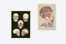 Load image into Gallery viewer, Anatomicum Postcard Box
