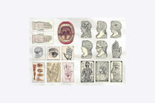 Load image into Gallery viewer, The Curious Collections Sticker Book
