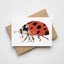 Load image into Gallery viewer, James Barker Illustrated Card

