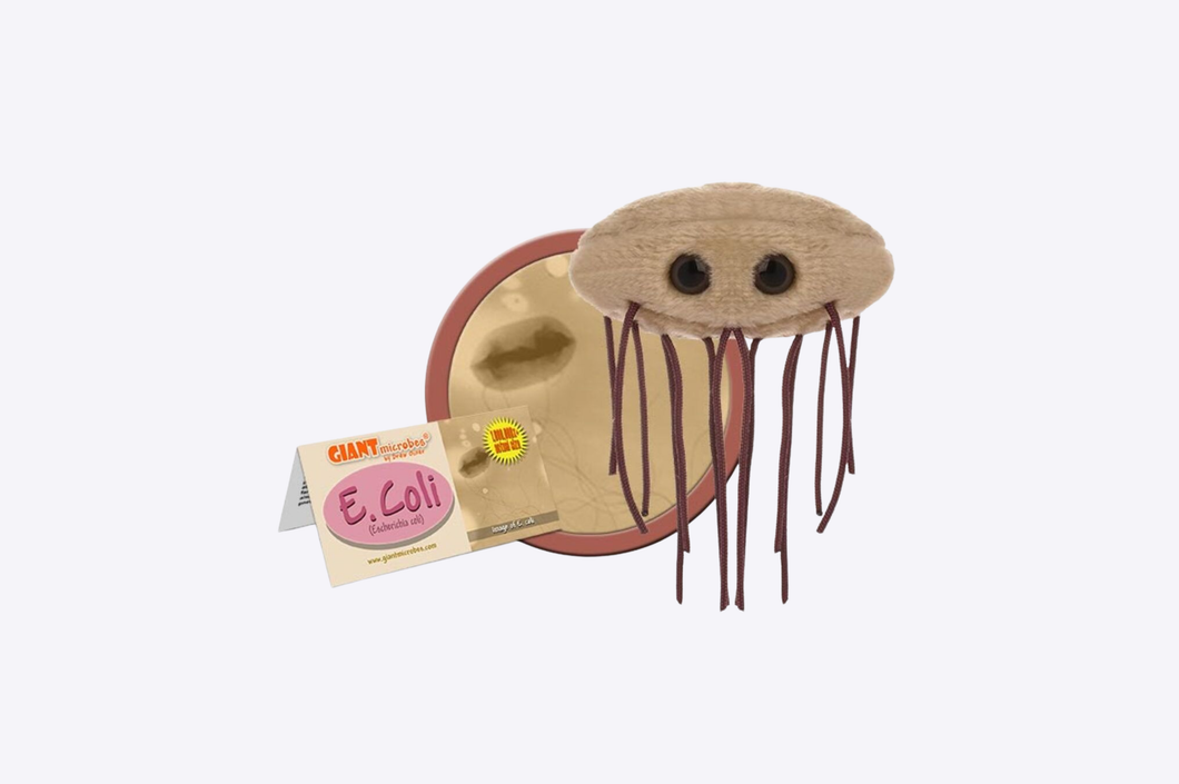 E.coli