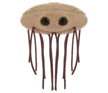 Load image into Gallery viewer, E.coli
