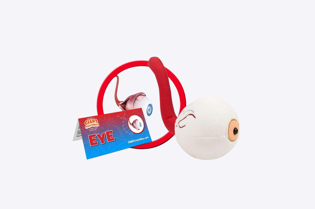 Eye