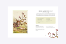 Load image into Gallery viewer, The Flower Fairies Herbal : Recipes and Remedies from the Hedgerow, Field and Forest
