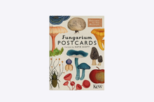 Load image into Gallery viewer, Fungarium Postcards
