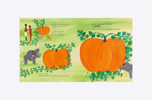 Load image into Gallery viewer, Pattan's Pumpkin : An Indian Flood Story
