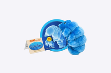 Load image into Gallery viewer, Waterbear (tardigrade)
