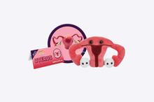 Load image into Gallery viewer, Uterus
