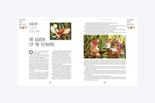 Load image into Gallery viewer, A World Full of Nature Stories : 50 Folktales and Legends
